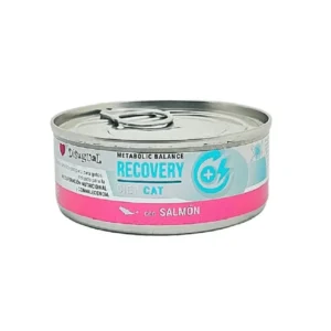 Dieta Recuperación Gato Disugual Salmón – Alta Energía y Convalecencia Felina