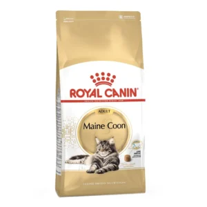 Royal Canin Maine Coon Adulto