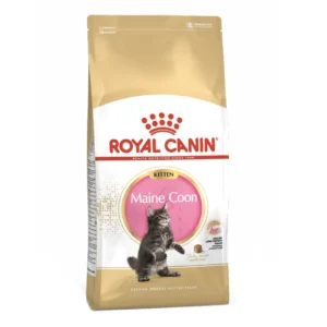 Royal Canin Maine Coon Kitten x 4 kg